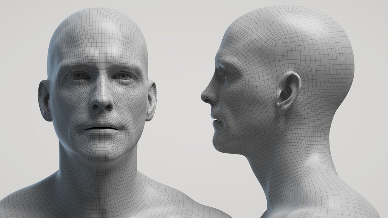 zbrush base head